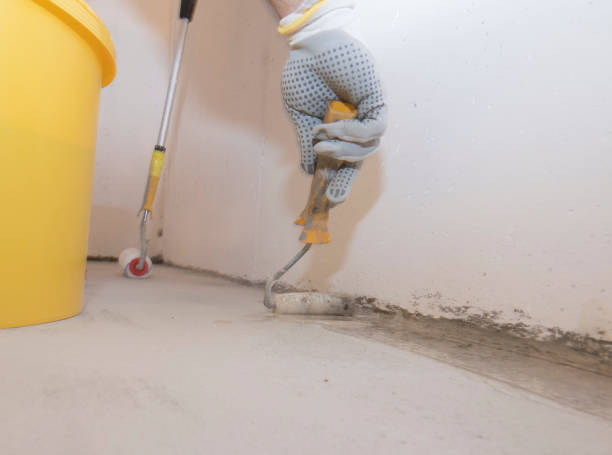 Best Bed Bug Extermination  in Amherst, WI